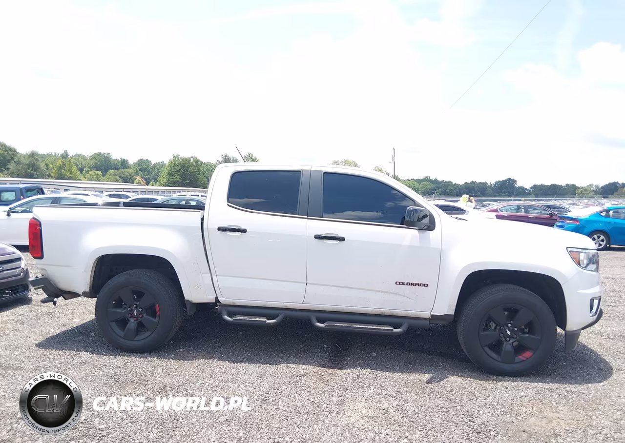 2019 Chevrolet Colorado Lt VIN:1GCGSCEN6K1144826 - 13