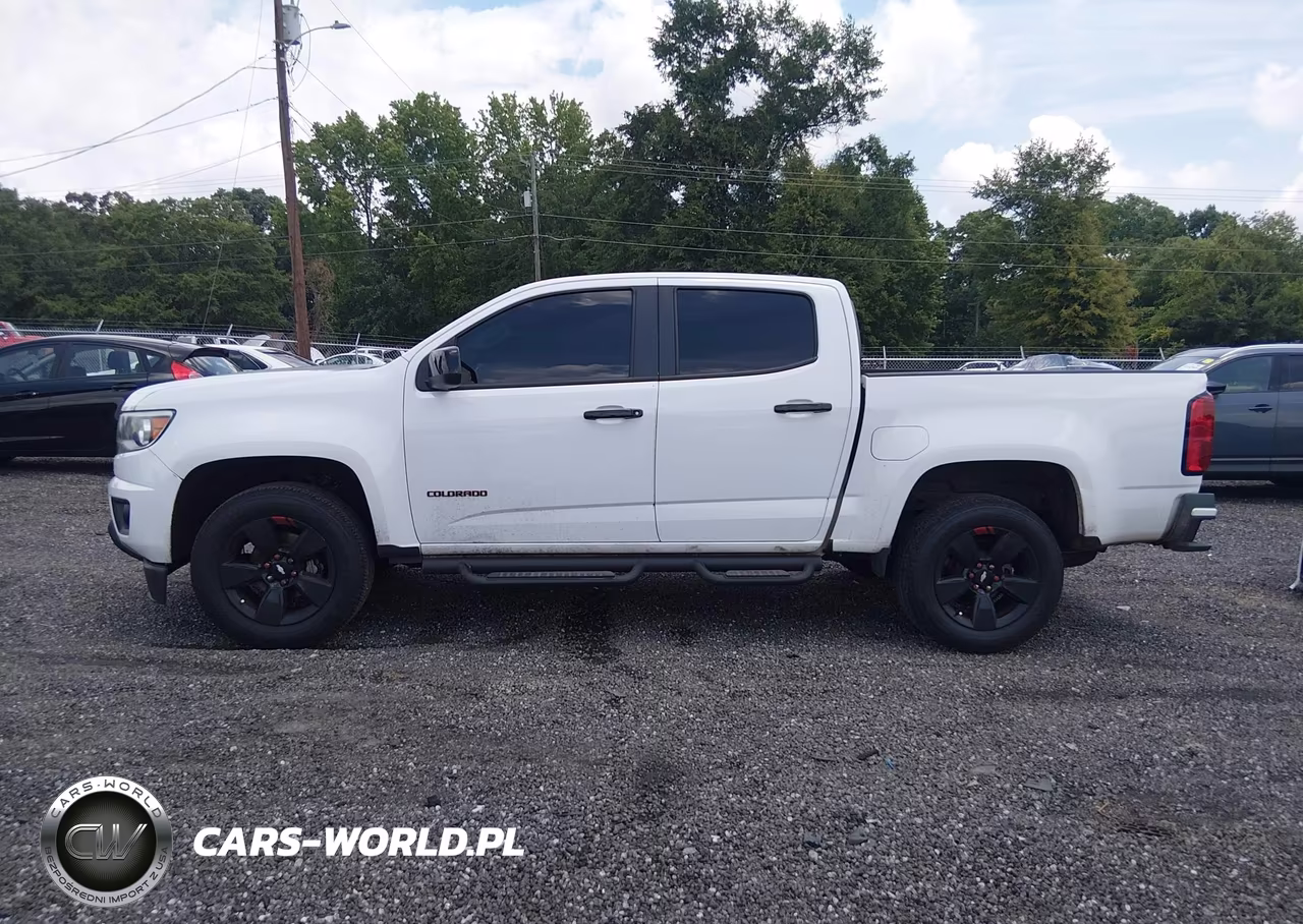 2019 Chevrolet Colorado Lt VIN:1GCGSCEN6K1144826 - 14