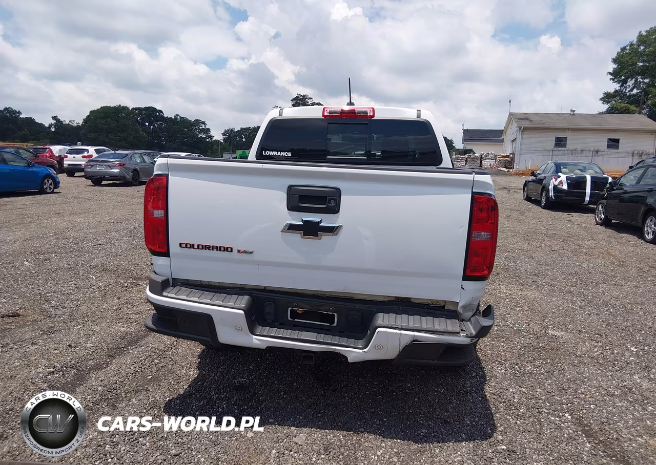 2019 Chevrolet Colorado Lt VIN:1GCGSCEN6K1144826 - 16