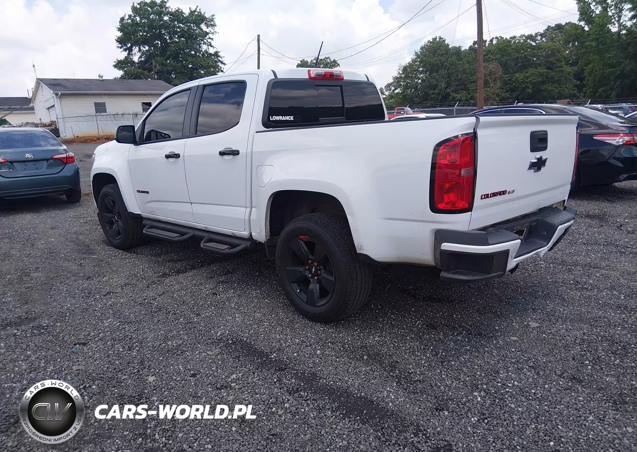 2019 Chevrolet Colorado Lt VIN:1GCGSCEN6K1144826 - 3