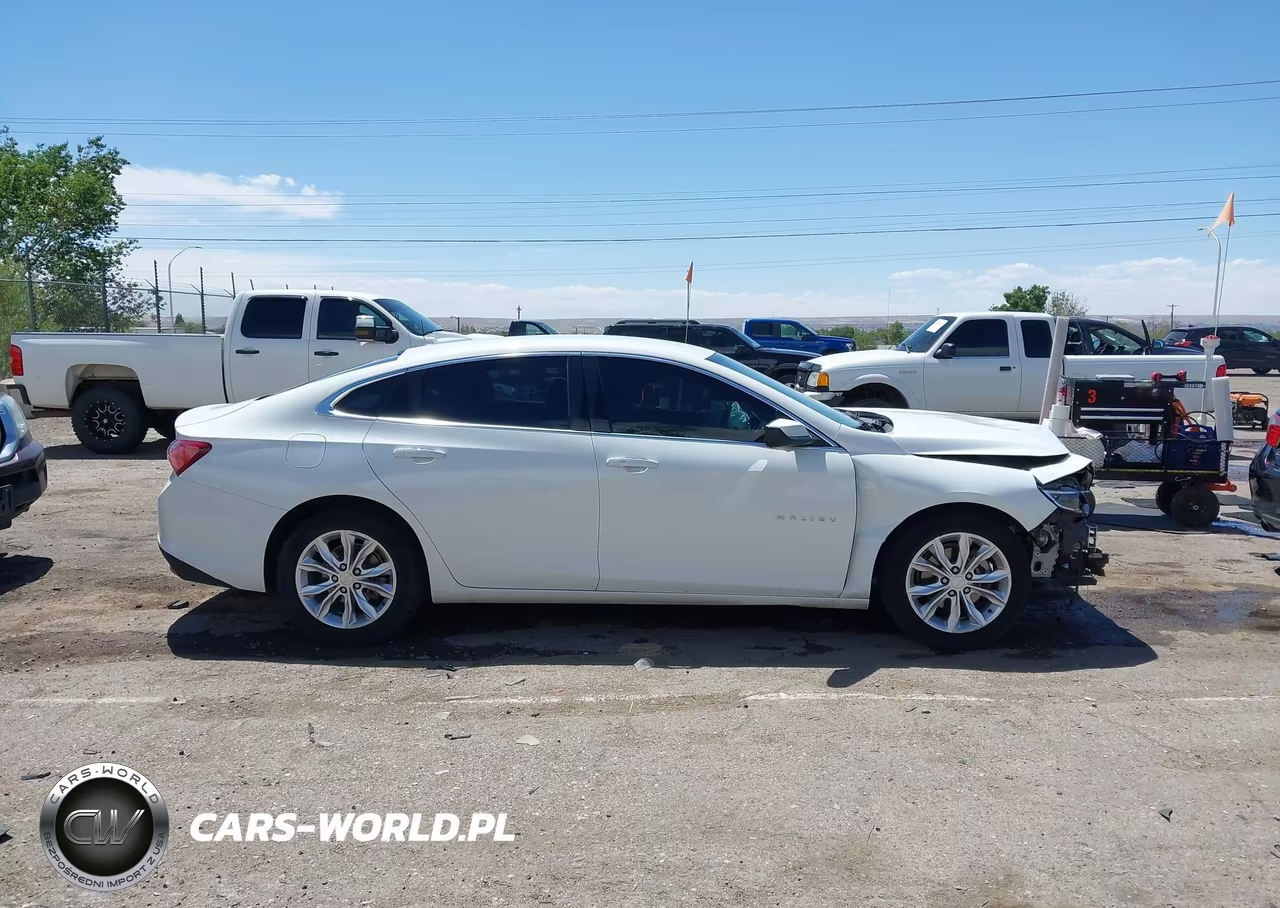 2019 Chevrolet Malibu Lt VIN:1G1ZD5ST7KF223533 - 13