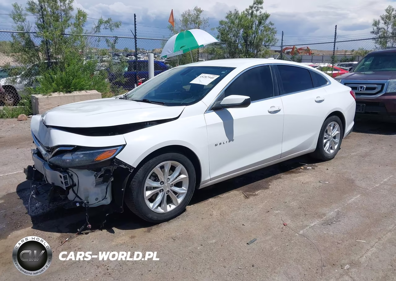 2019 Chevrolet Malibu Lt VIN:1G1ZD5ST7KF223533 - 2