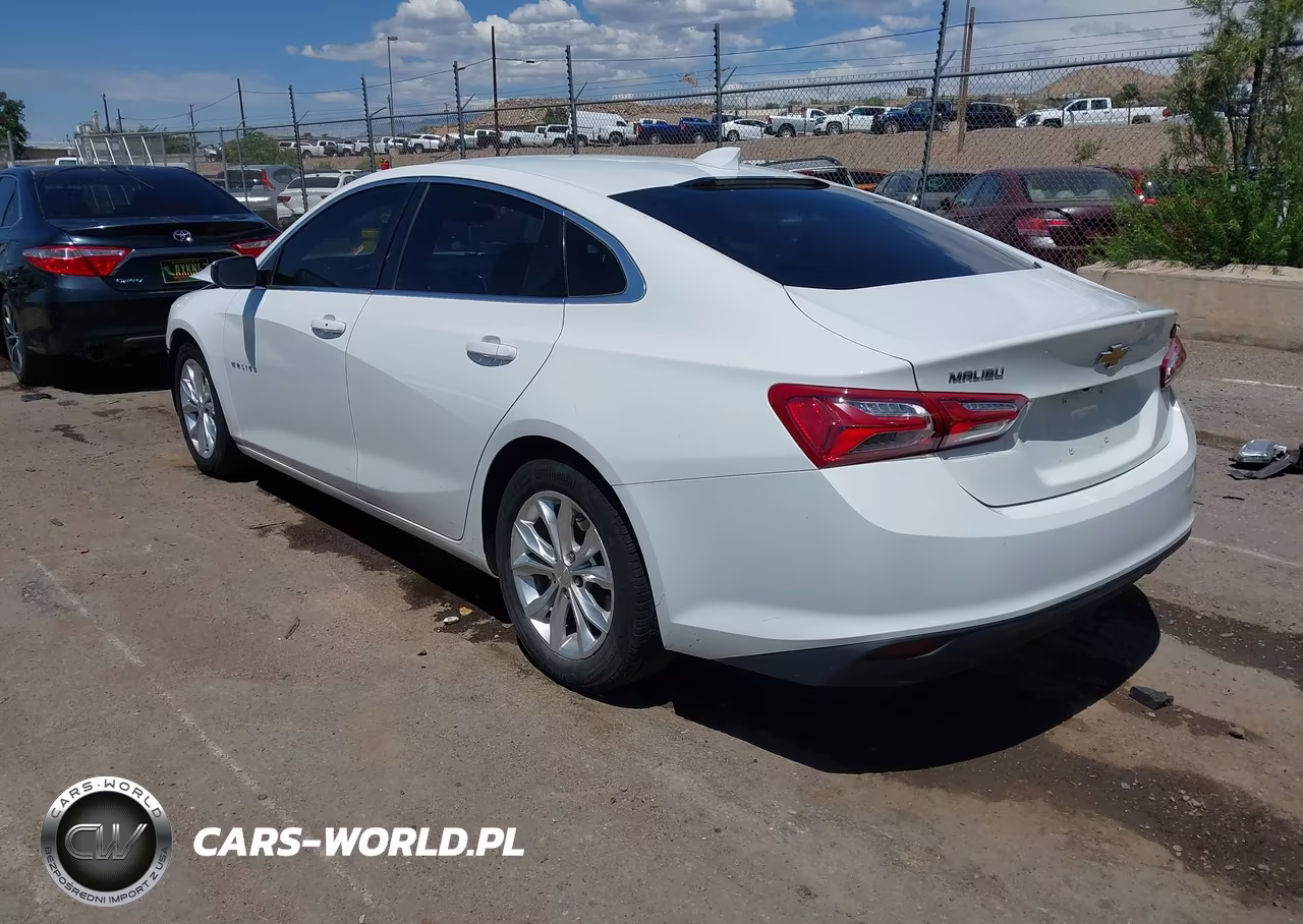 2019 Chevrolet Malibu Lt VIN:1G1ZD5ST7KF223533 - 3