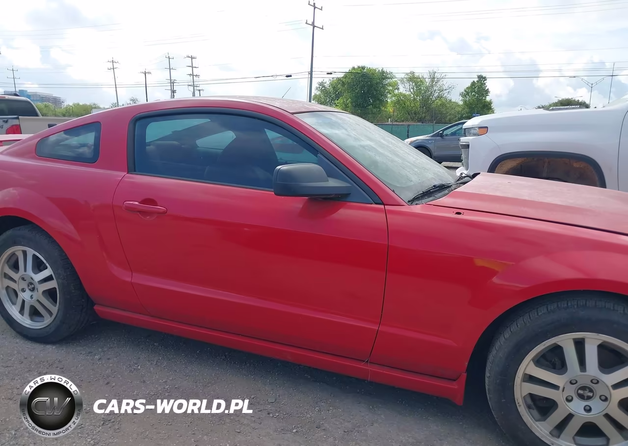 2006 Ford Mustang Gt VIN:1ZVFT82H265157847 - 13
