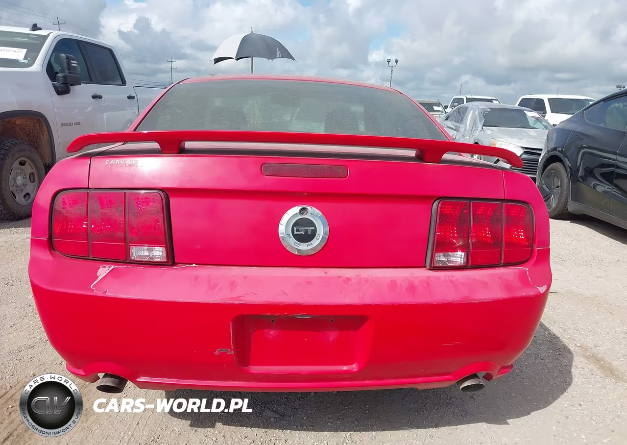 2006 Ford Mustang Gt VIN:1ZVFT82H265157847 - 16