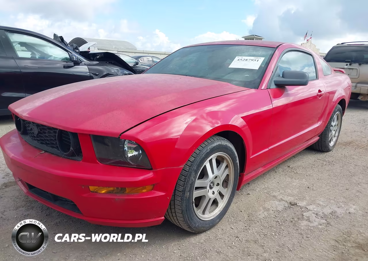 2006 Ford Mustang Gt VIN:1ZVFT82H265157847 - 2