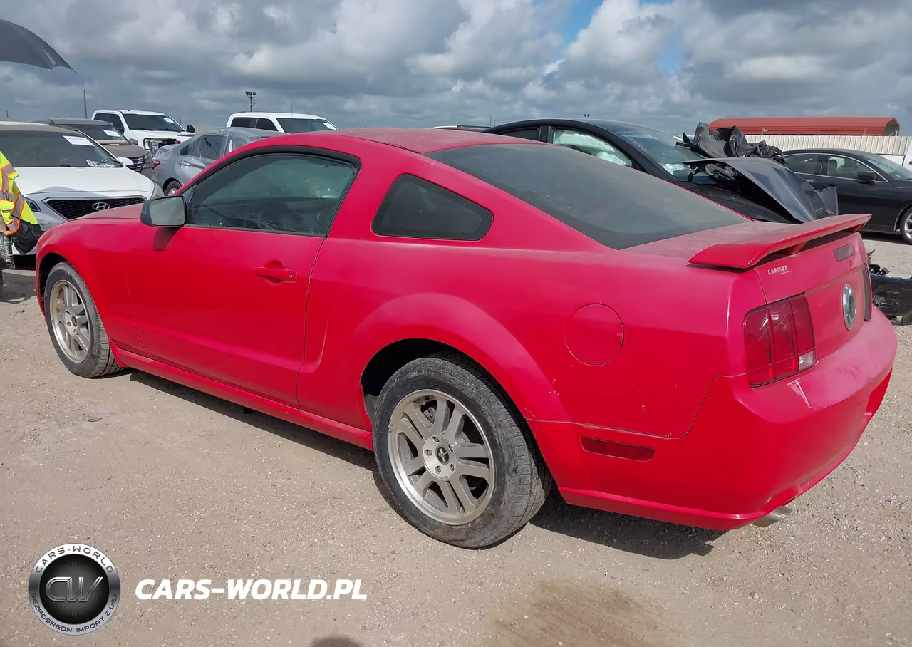 2006 Ford Mustang Gt VIN:1ZVFT82H265157847 - 3