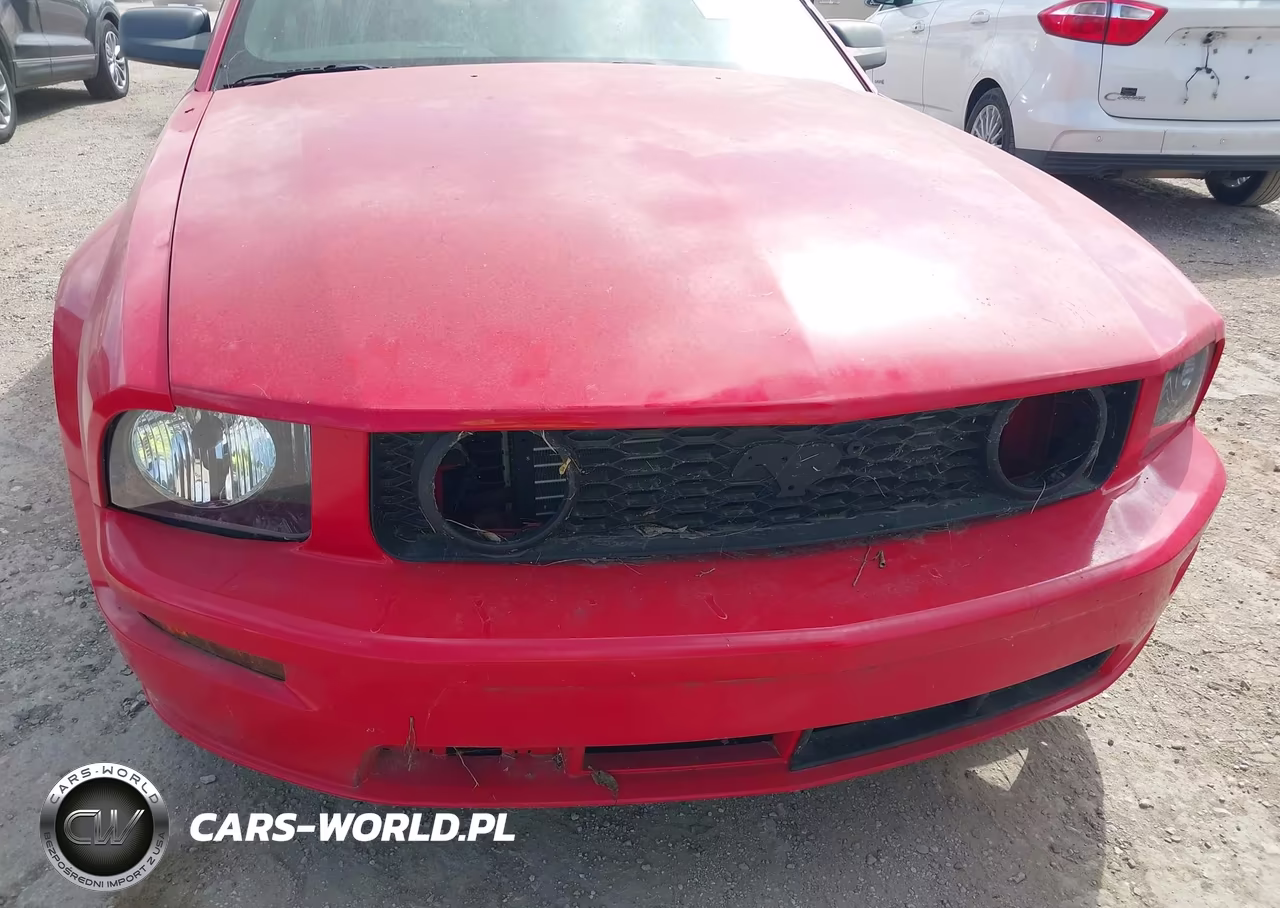 2006 Ford Mustang Gt VIN:1ZVFT82H265157847 - 6