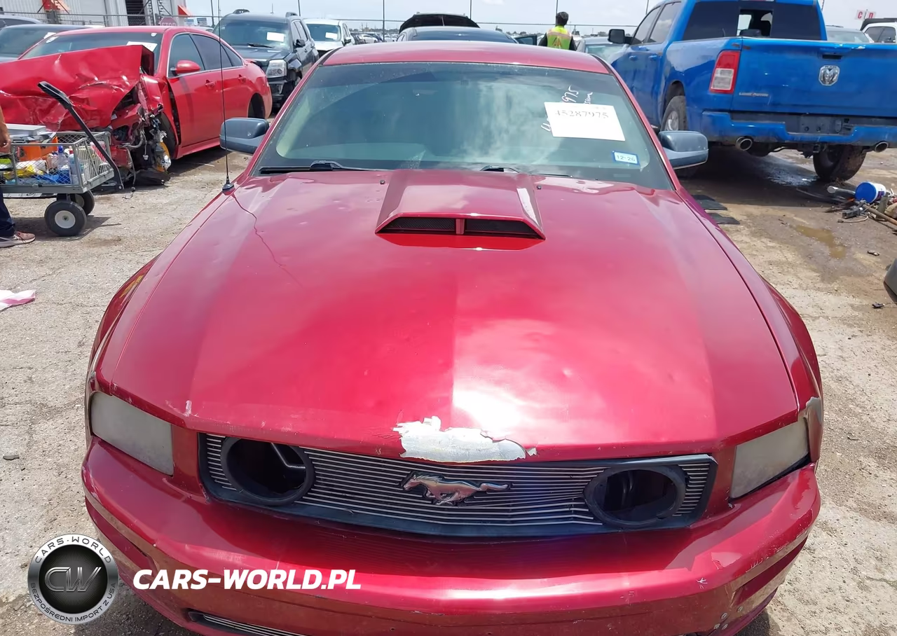 2006 Ford Mustang Gt VIN:1ZVFT82H165144300 - 12