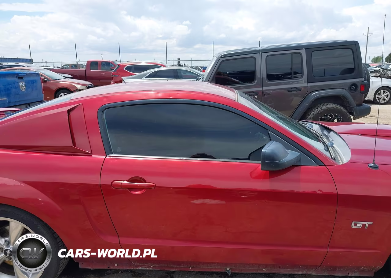 2006 Ford Mustang Gt VIN:1ZVFT82H165144300 - 13