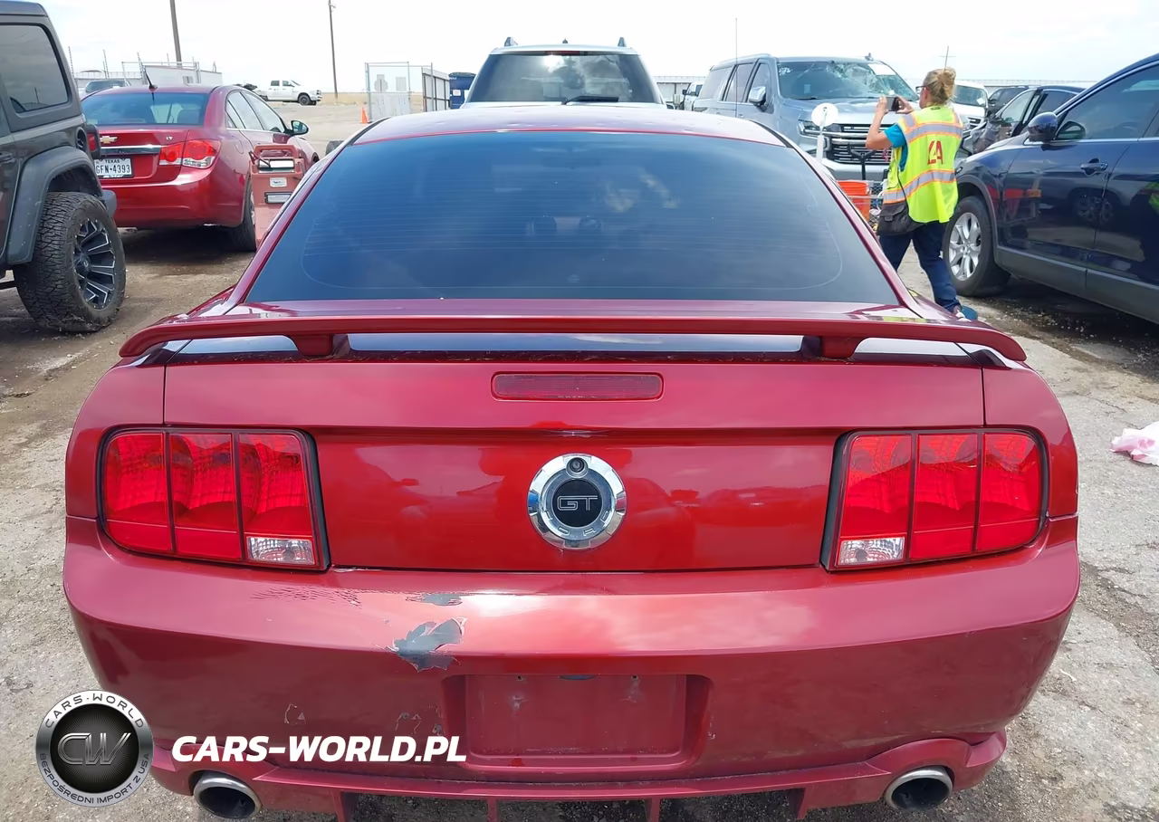 2006 Ford Mustang Gt VIN:1ZVFT82H165144300 - 16