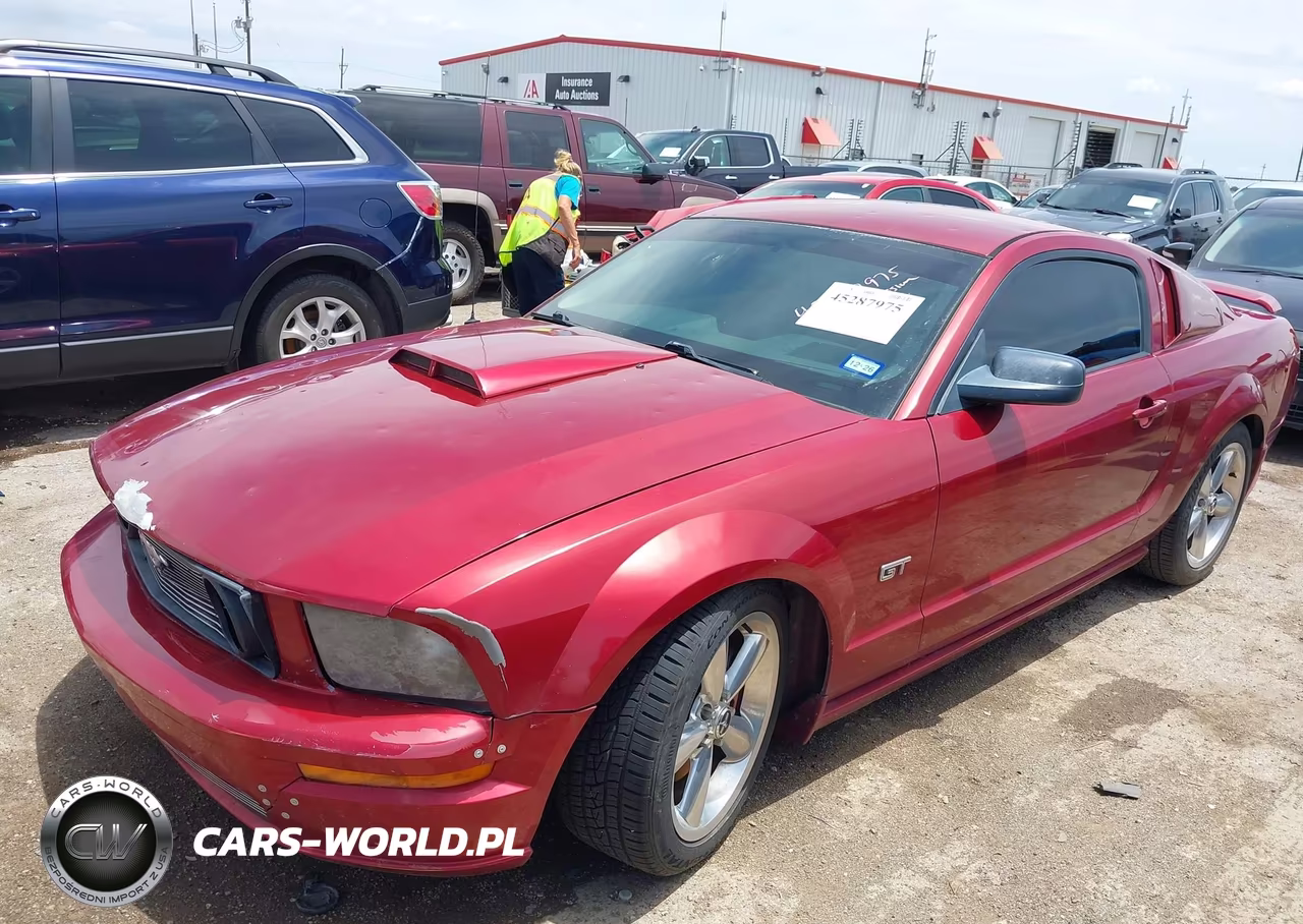 2006 Ford Mustang Gt VIN:1ZVFT82H165144300 - 2