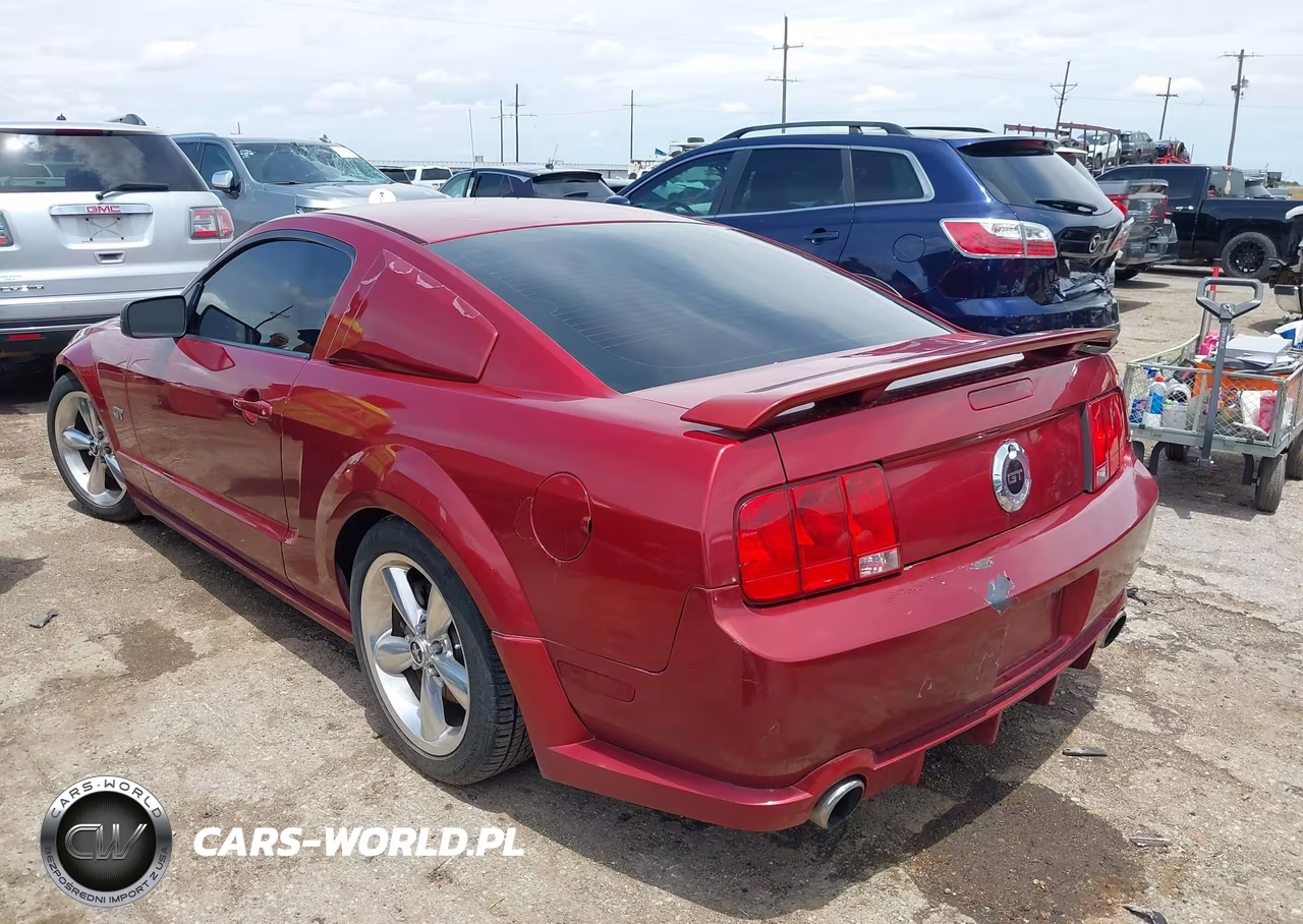 2006 Ford Mustang Gt VIN:1ZVFT82H165144300 - 3