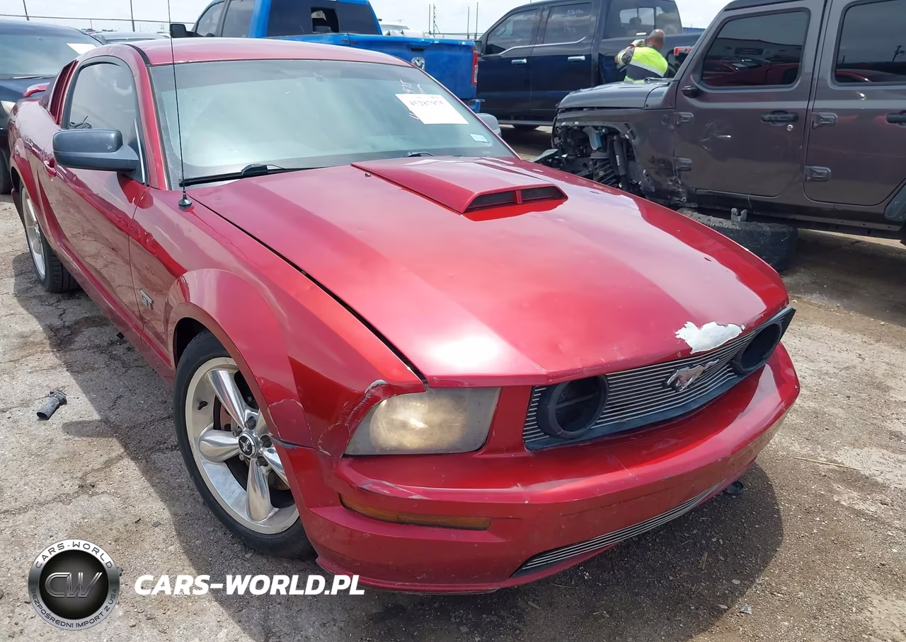 2006 Ford Mustang Gt VIN:1ZVFT82H165144300 - 6