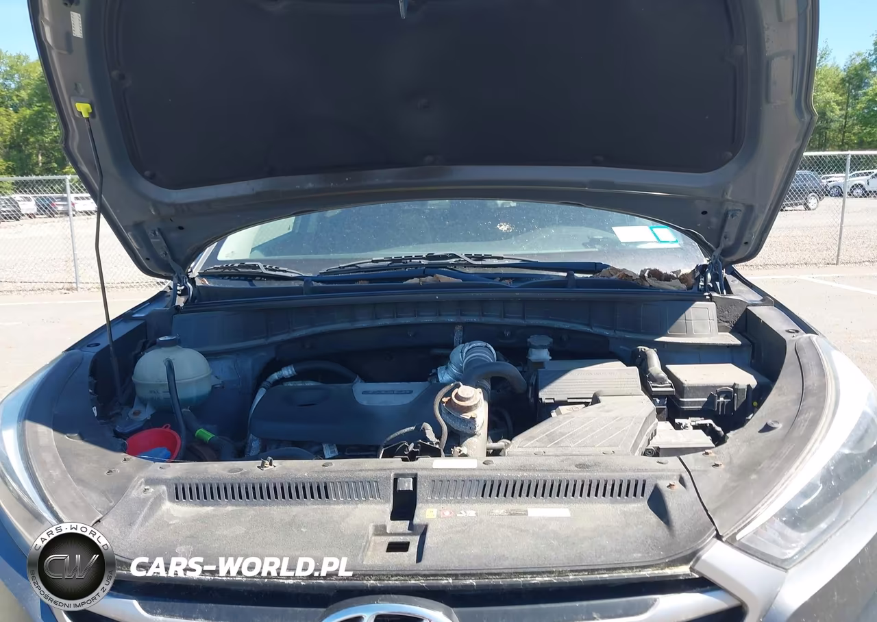 2018 Hyundai Tucson Value VIN:KM8J3CA22JU676324 - 10