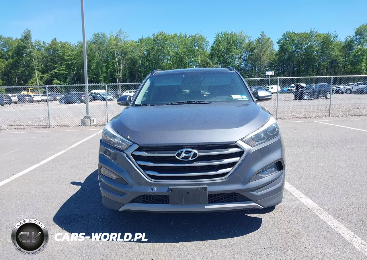 2018 Hyundai Tucson Value VIN:KM8J3CA22JU676324 - 12
