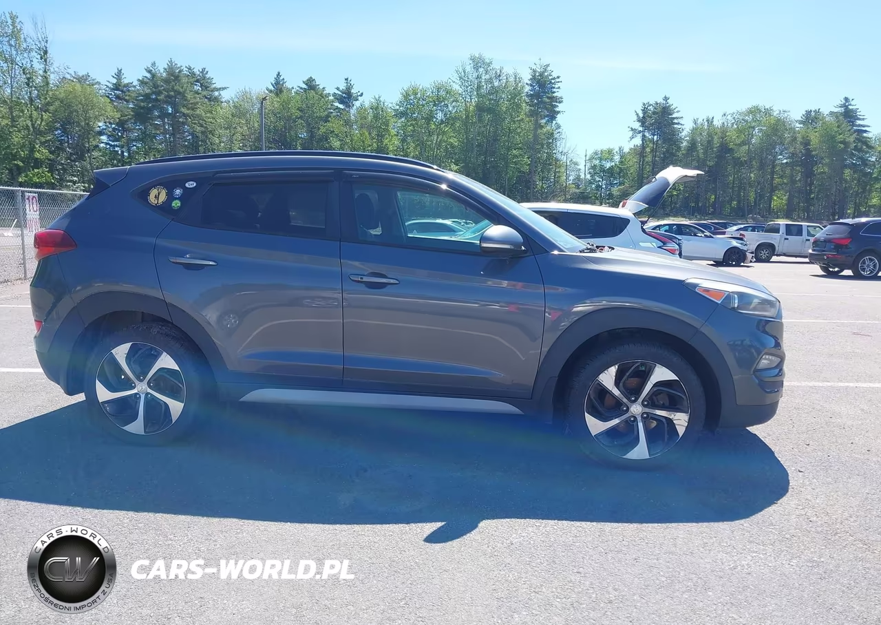 2018 Hyundai Tucson Value VIN:KM8J3CA22JU676324 - 13