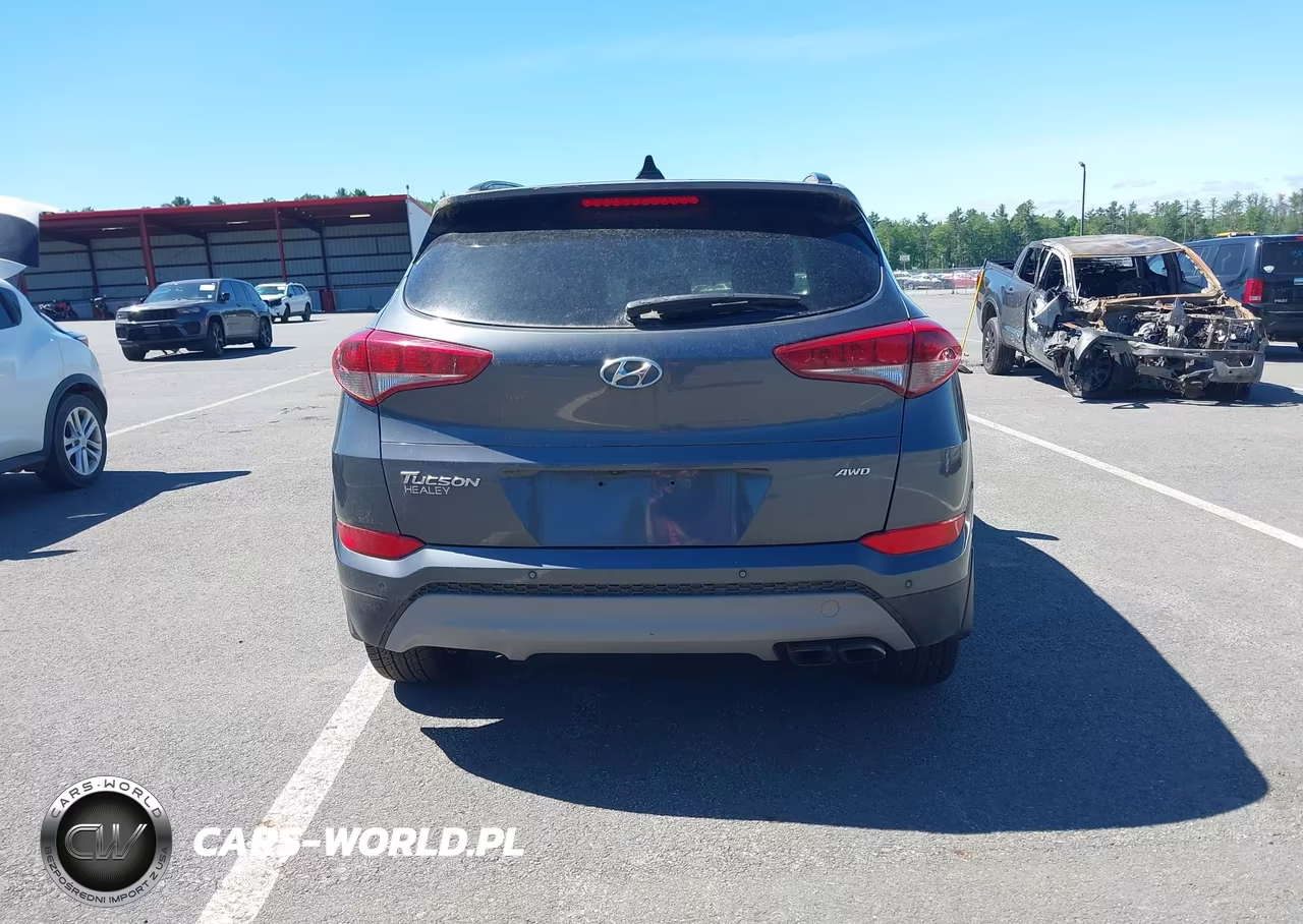 2018 Hyundai Tucson Value VIN:KM8J3CA22JU676324 - 16