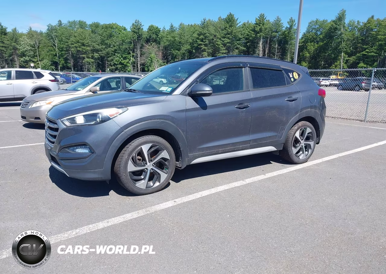 2018 Hyundai Tucson Value VIN:KM8J3CA22JU676324 - 2