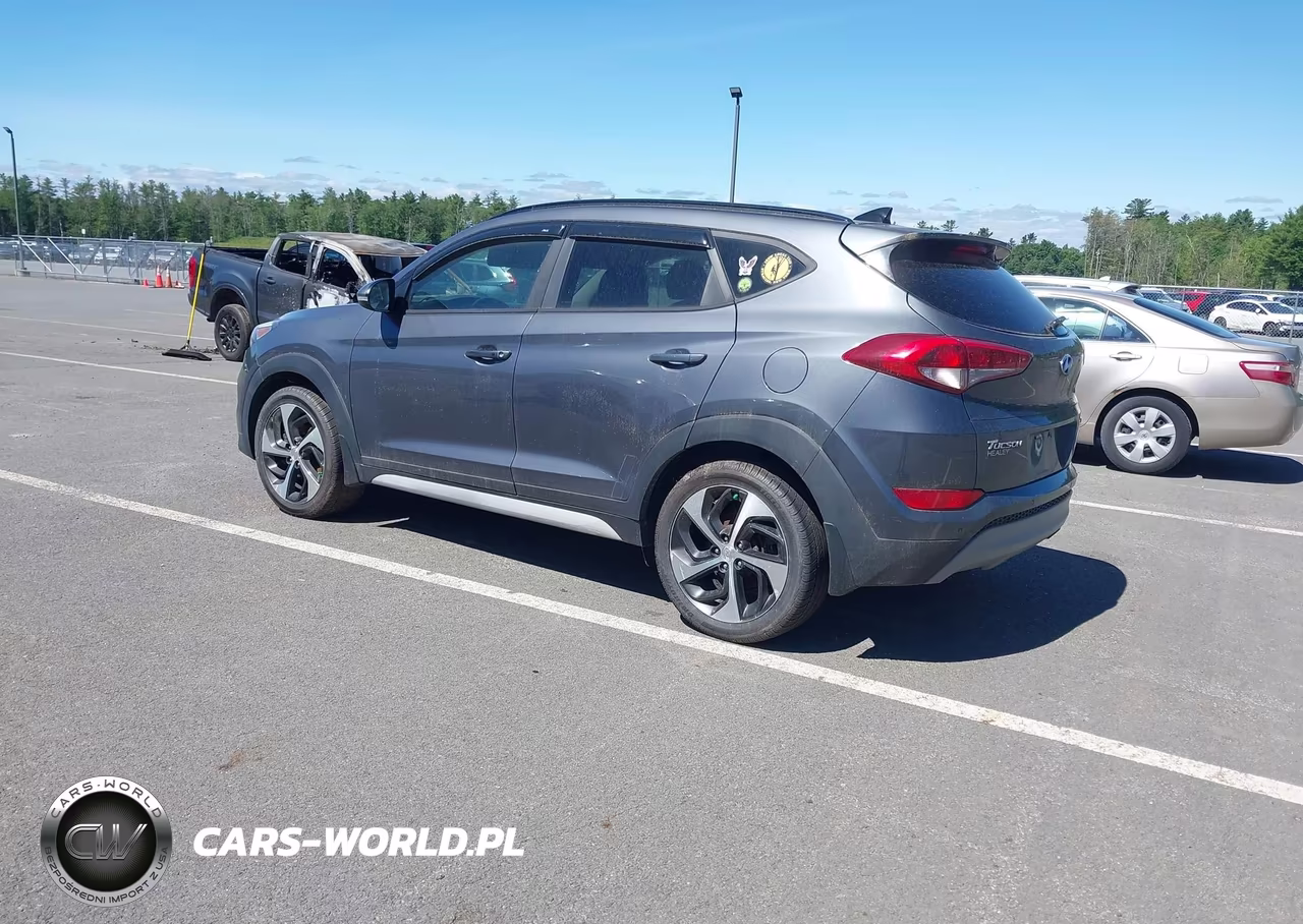 2018 Hyundai Tucson Value VIN:KM8J3CA22JU676324 - 3