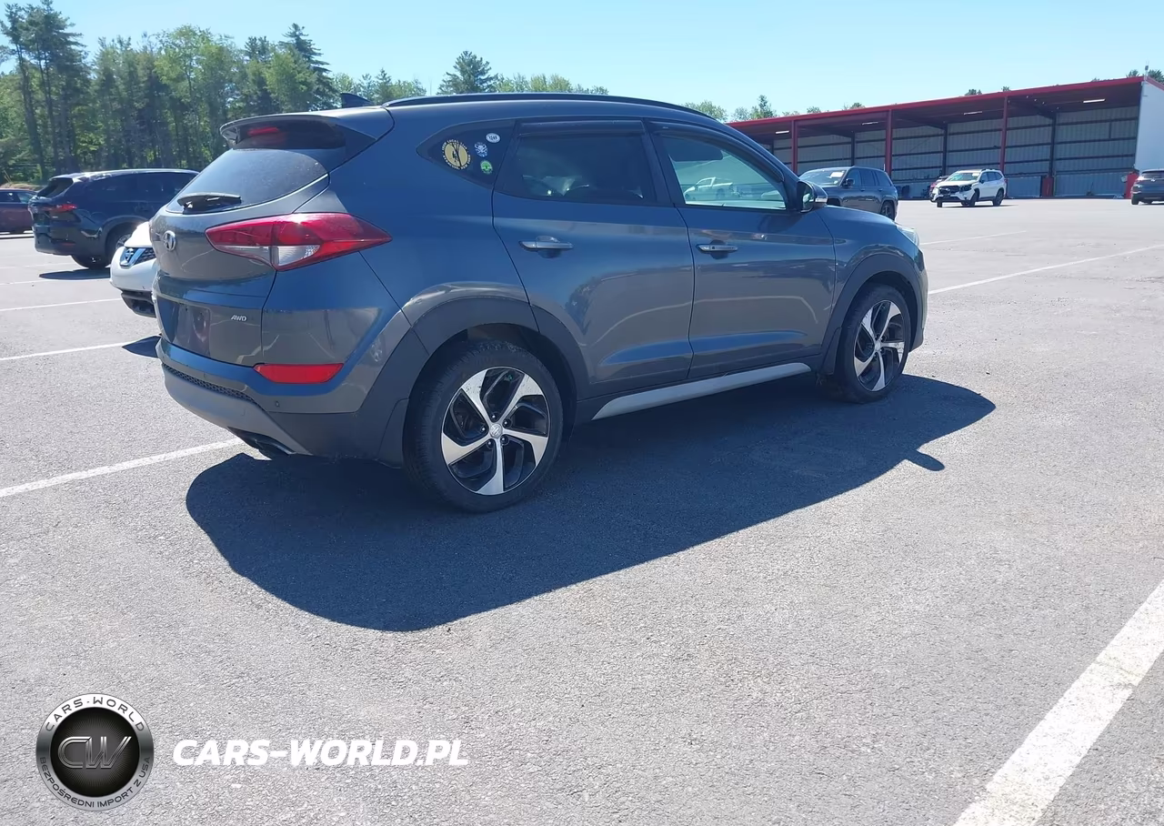 2018 Hyundai Tucson Value VIN:KM8J3CA22JU676324 - 4