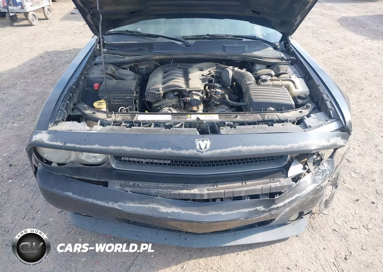 2009 Dodge Challenger Se VIN:2B3LJ44V99H621089 - 10