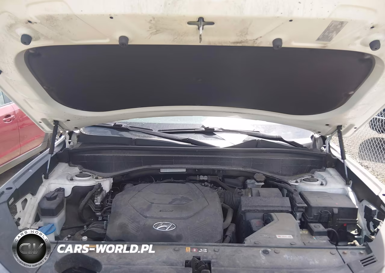 2020 Hyundai Palisade Se VIN:KM8R1DHE8LU051735 - 10