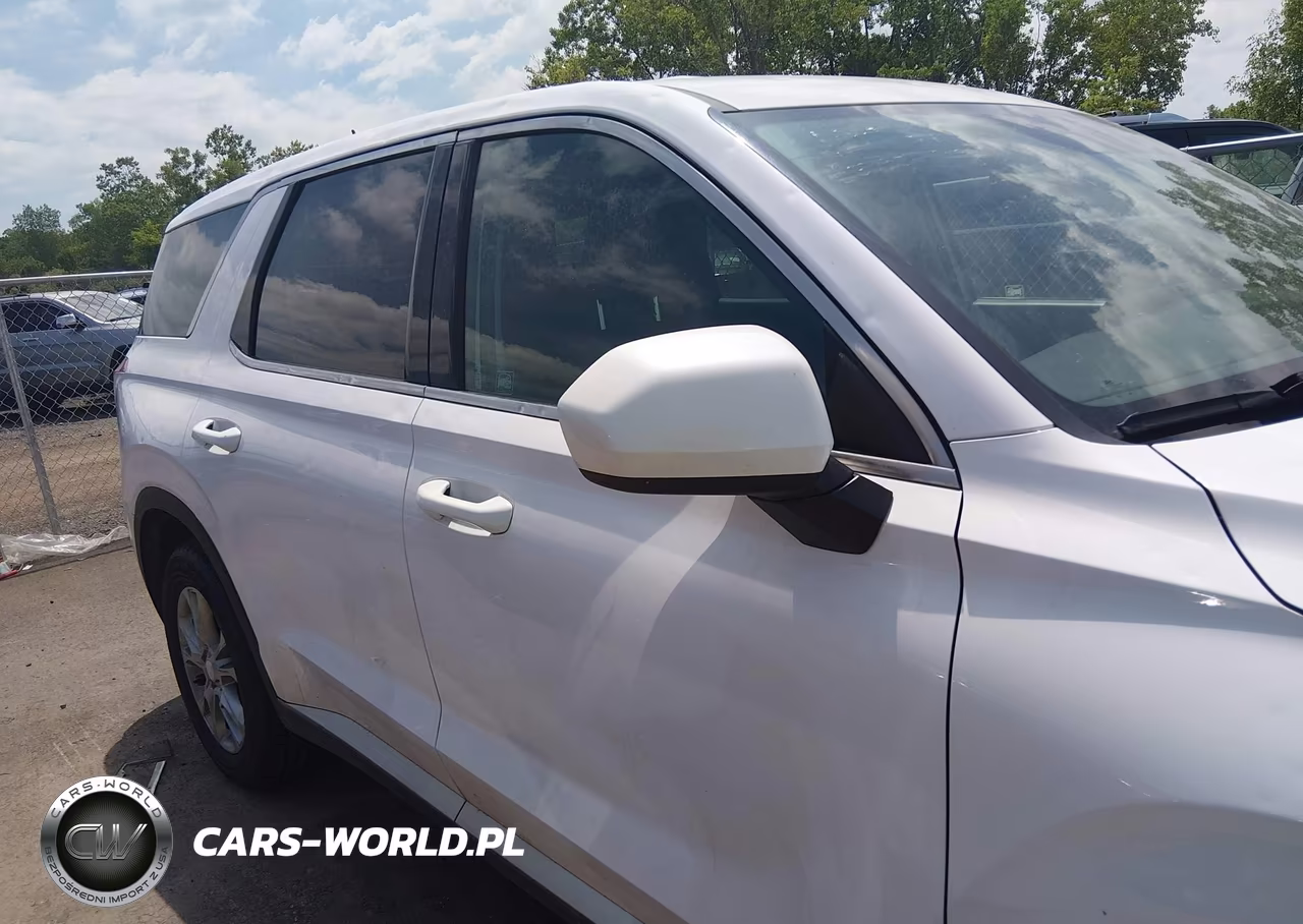 2020 Hyundai Palisade Se VIN:KM8R1DHE8LU051735 - 13