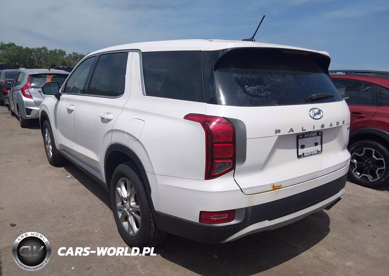 2020 Hyundai Palisade Se VIN:KM8R1DHE8LU051735 - 3