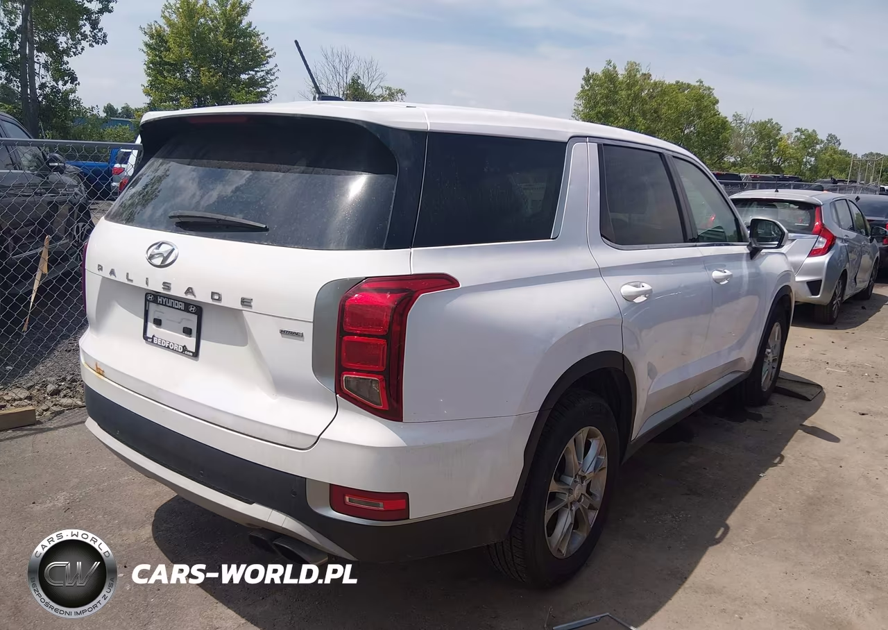 2020 Hyundai Palisade Se VIN:KM8R1DHE8LU051735 - 4