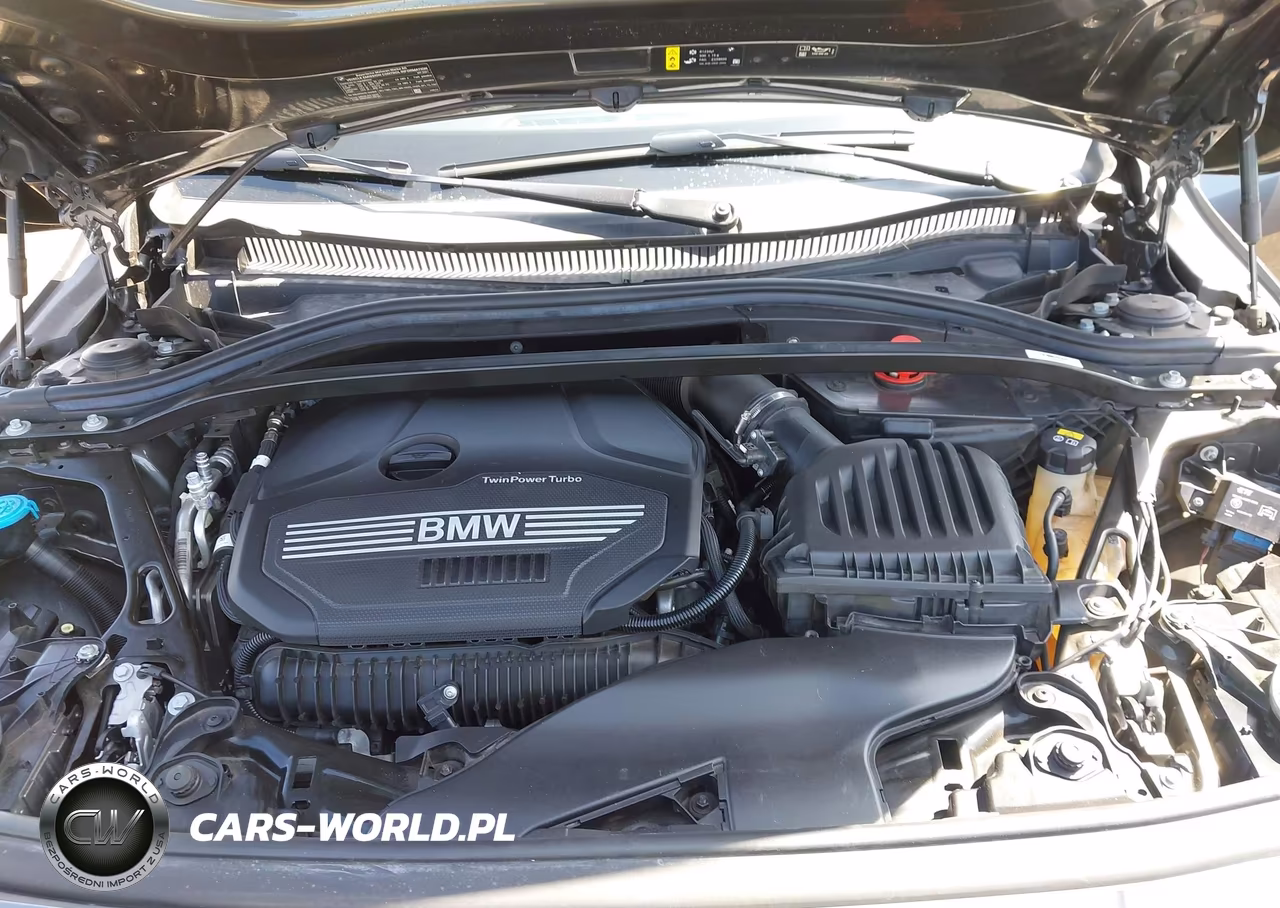 2021 BMW 228I Gran Coupe xDrive VIN:WBA73AK02M7G40765 - 10