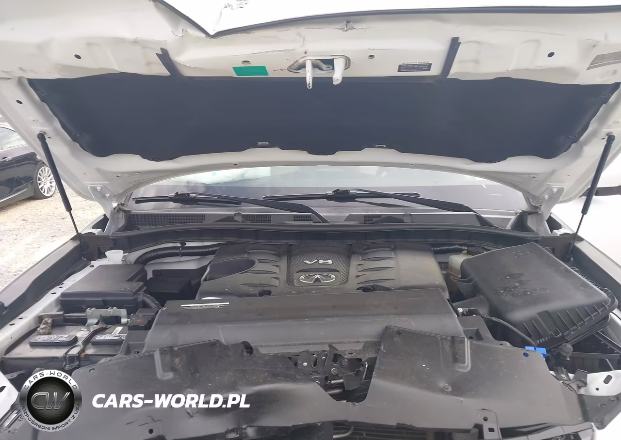 2019 Infiniti Qx80 Luxe VIN:JN8AZ2NF8K9689372 - 10