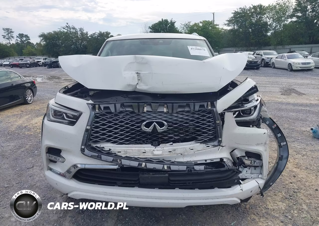 2019 Infiniti Qx80 Luxe VIN:JN8AZ2NF8K9689372 - 12