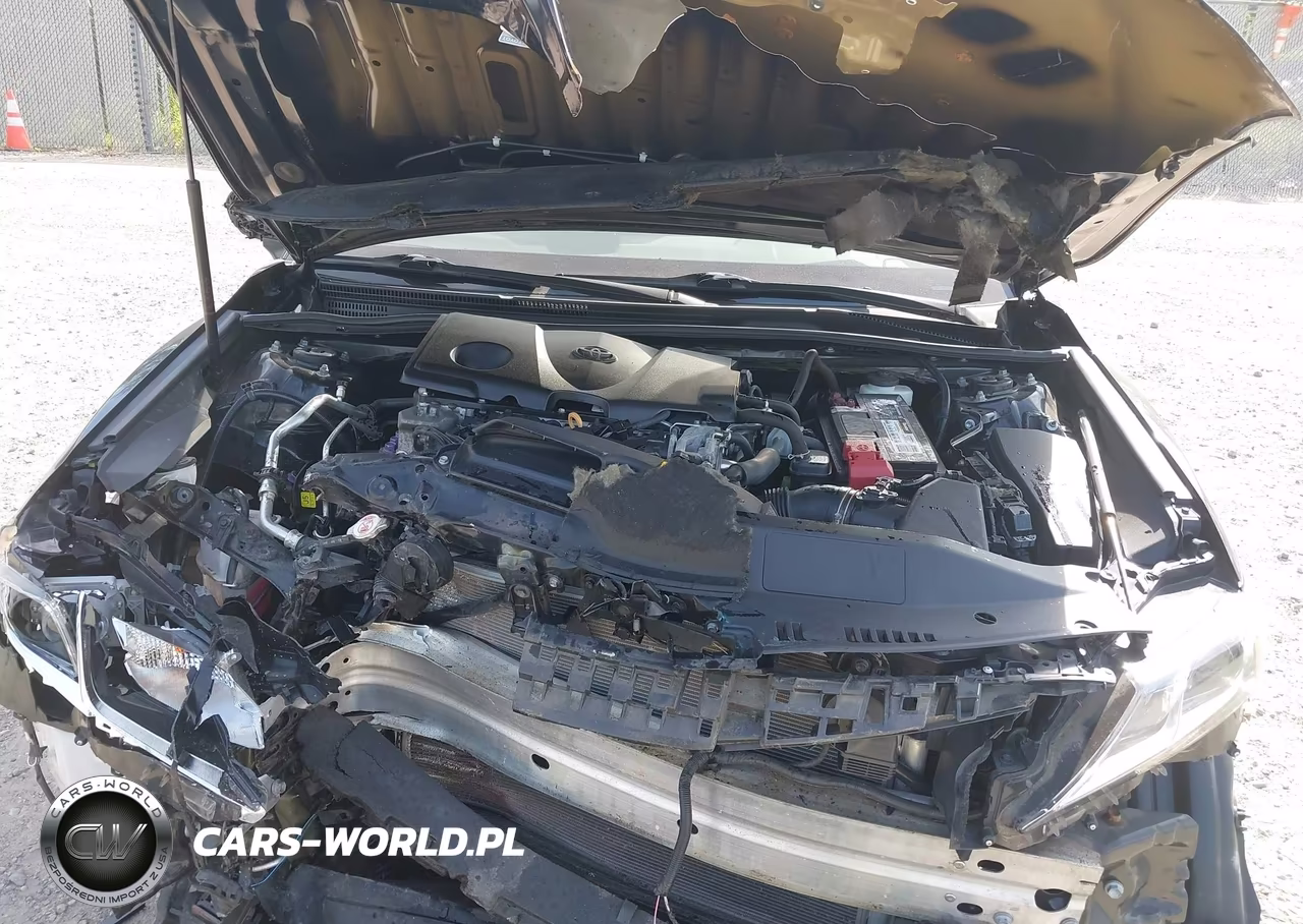 2019 Toyota Camry Le VIN:4T1B11HK6KU699899 - 10