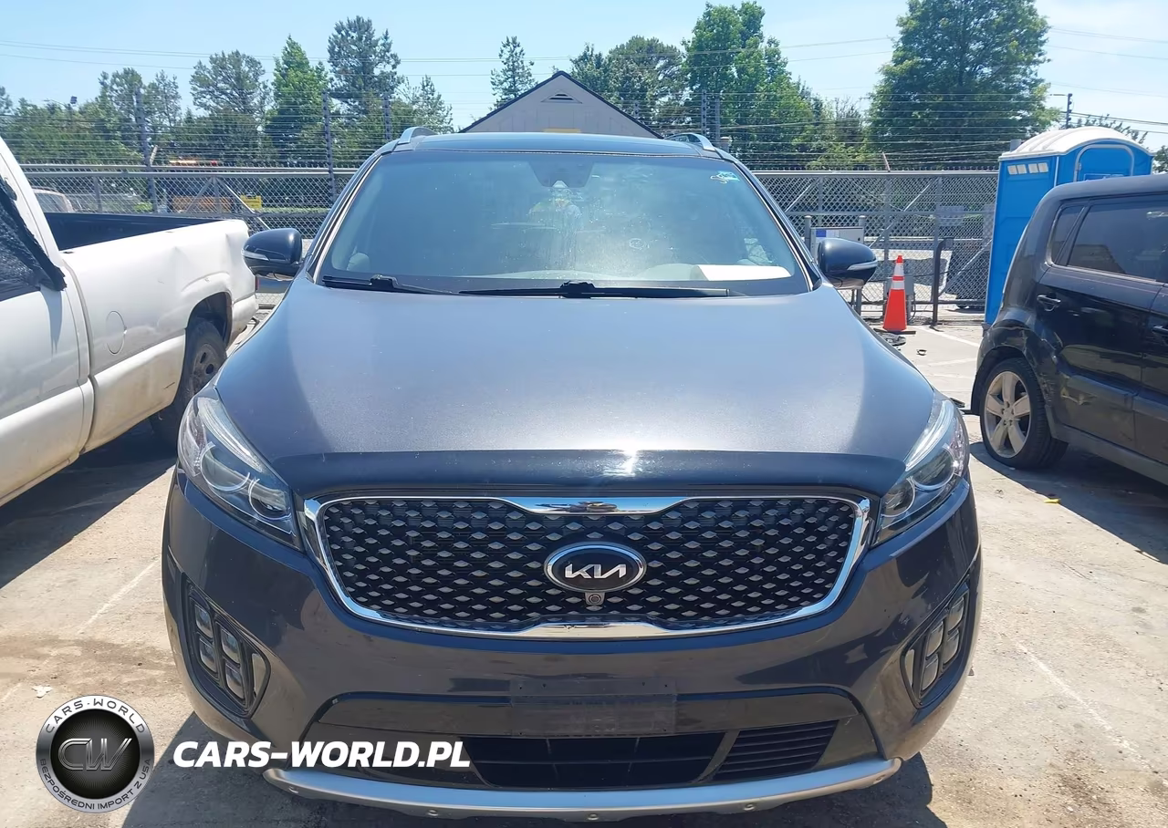 2017 Kia Sorento 3.3L Sxl VIN:5XYPKDA51HG241498 - 12