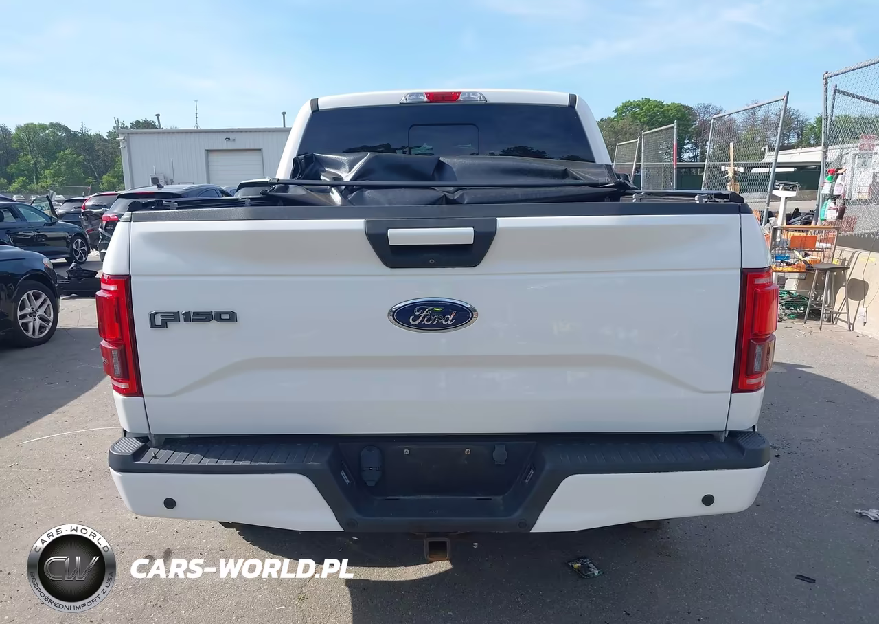 2017 Ford F-150 Xlt VIN:1FTEW1EP0HFA91800 - 16