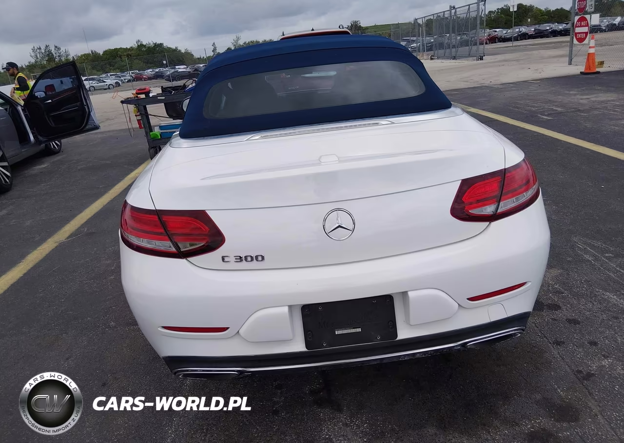 2020 Mercedes-Benz C 300 VIN:WDDWK8DB6LF980839 - 16
