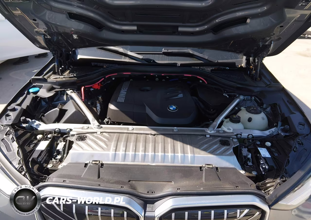 2025 BMW X3 30 xDrive VIN:5UX53GP08S9034518 - 10