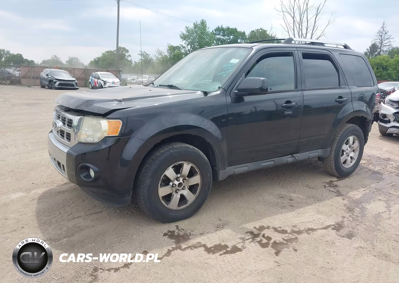 2010 Ford Escape Limited VIN:1FMCU0EG3AKA87854 - 2