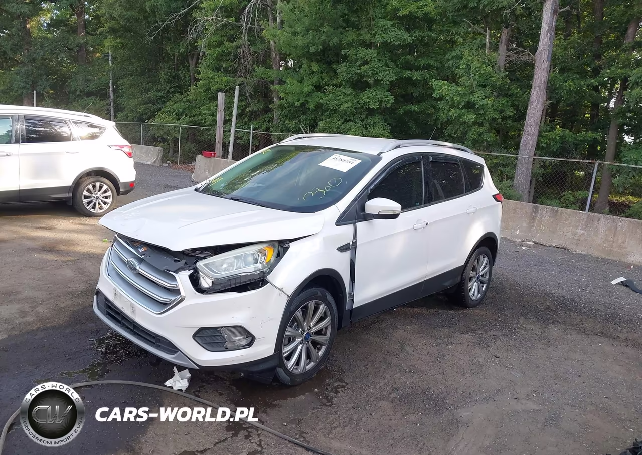 2017 Ford Escape Titanium VIN:1FMCU9J98HUD44419 - 2
