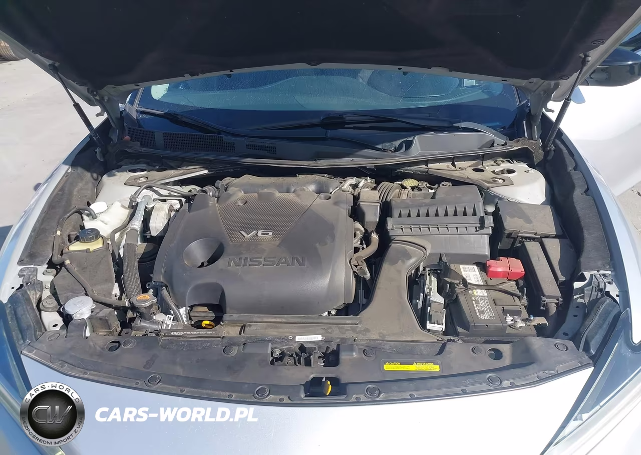 2020 Nissan Maxima S Xtronic Cvt VIN:1N4AA6BV3LC377007 - 10