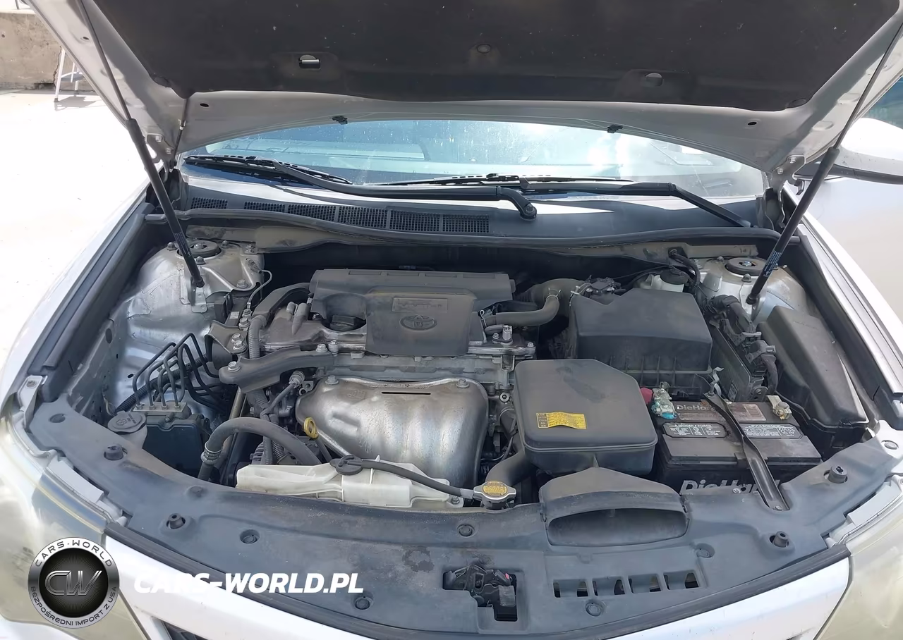 2014 Toyota Camry Se VIN:4T1BF1FK4EU319001 - 10