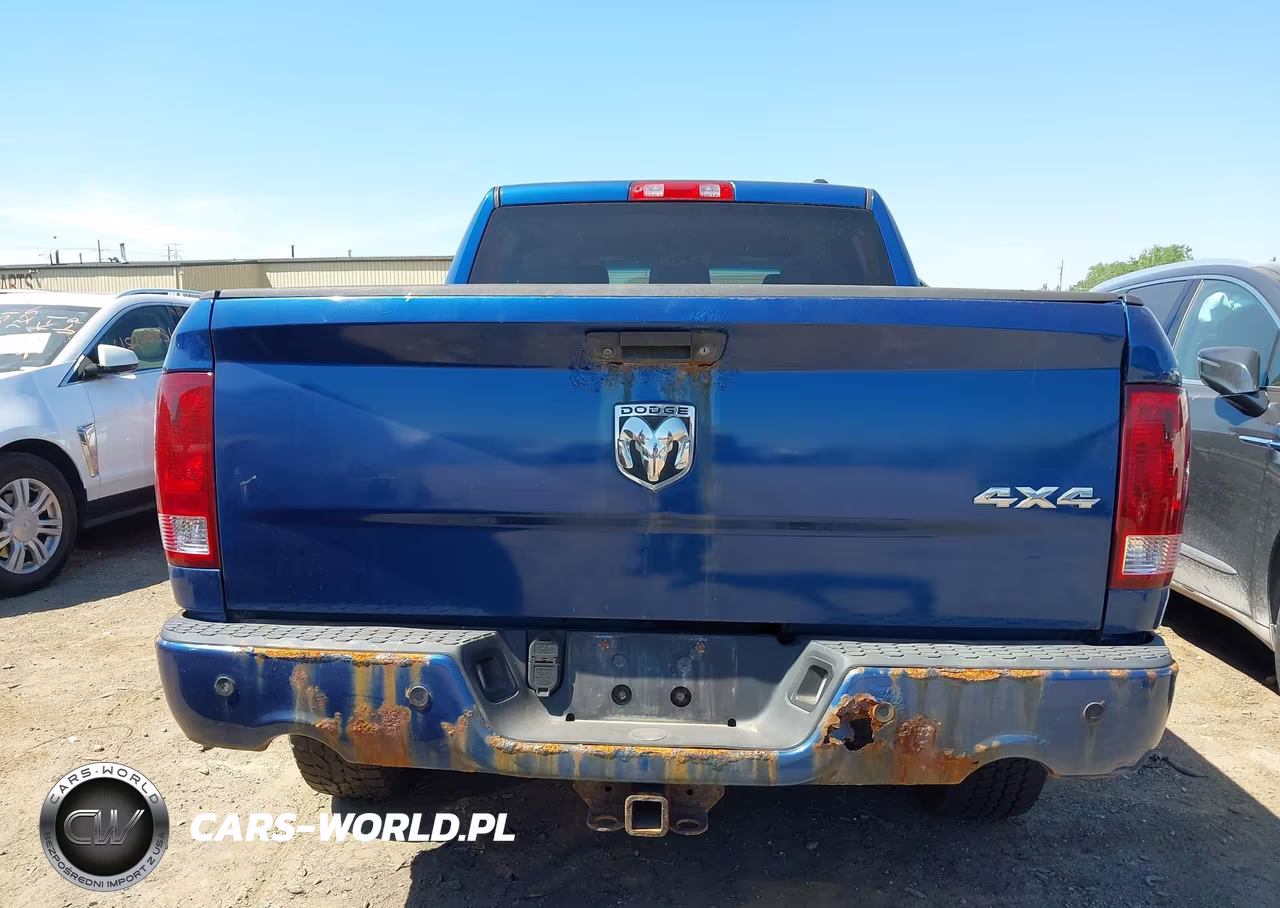 2010 Dodge Ram 1500 Slt-Sport-Trx VIN:1D7RV1CT3AS254334 - 16