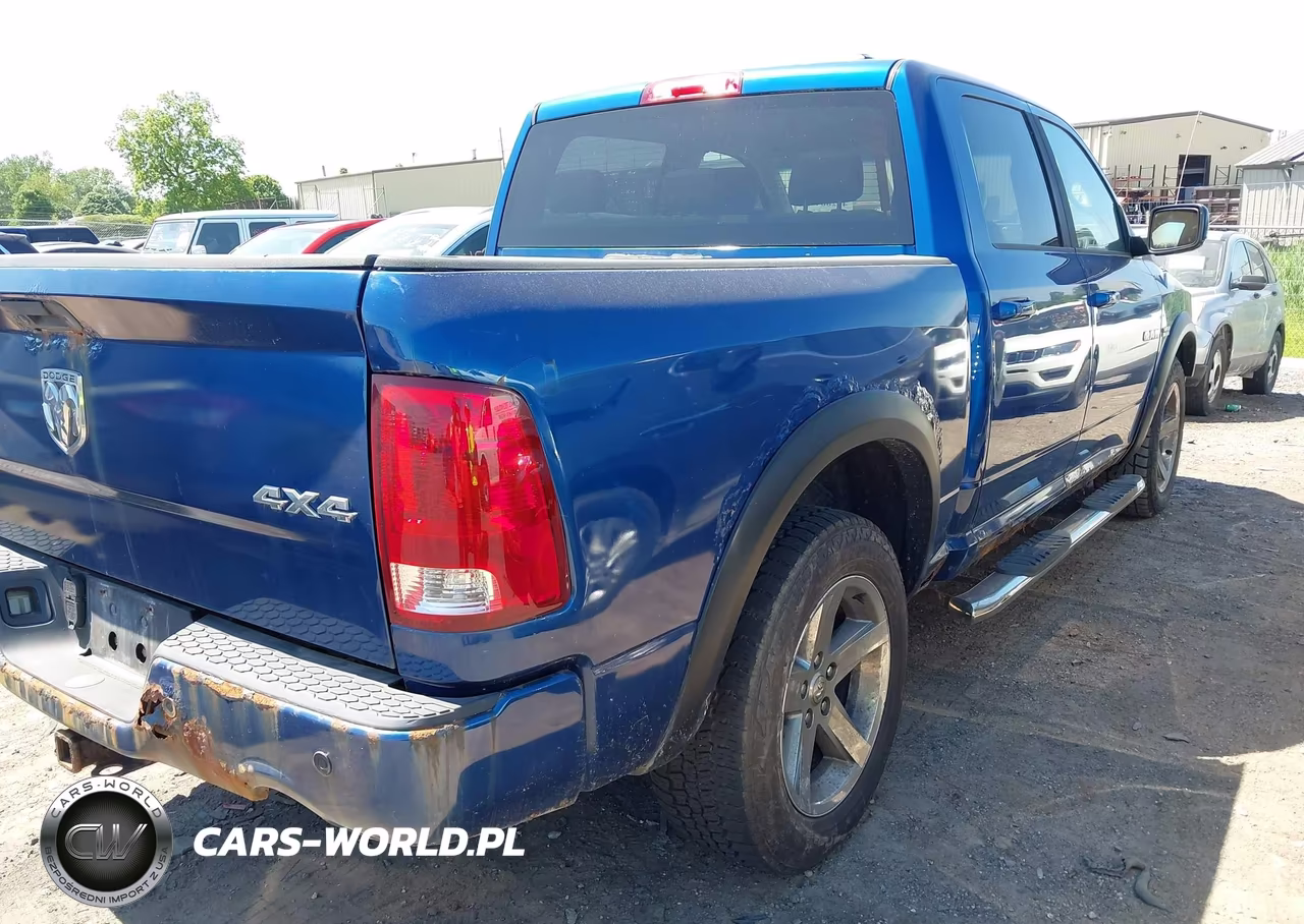 2010 Dodge Ram 1500 Slt-Sport-Trx VIN:1D7RV1CT3AS254334 - 4