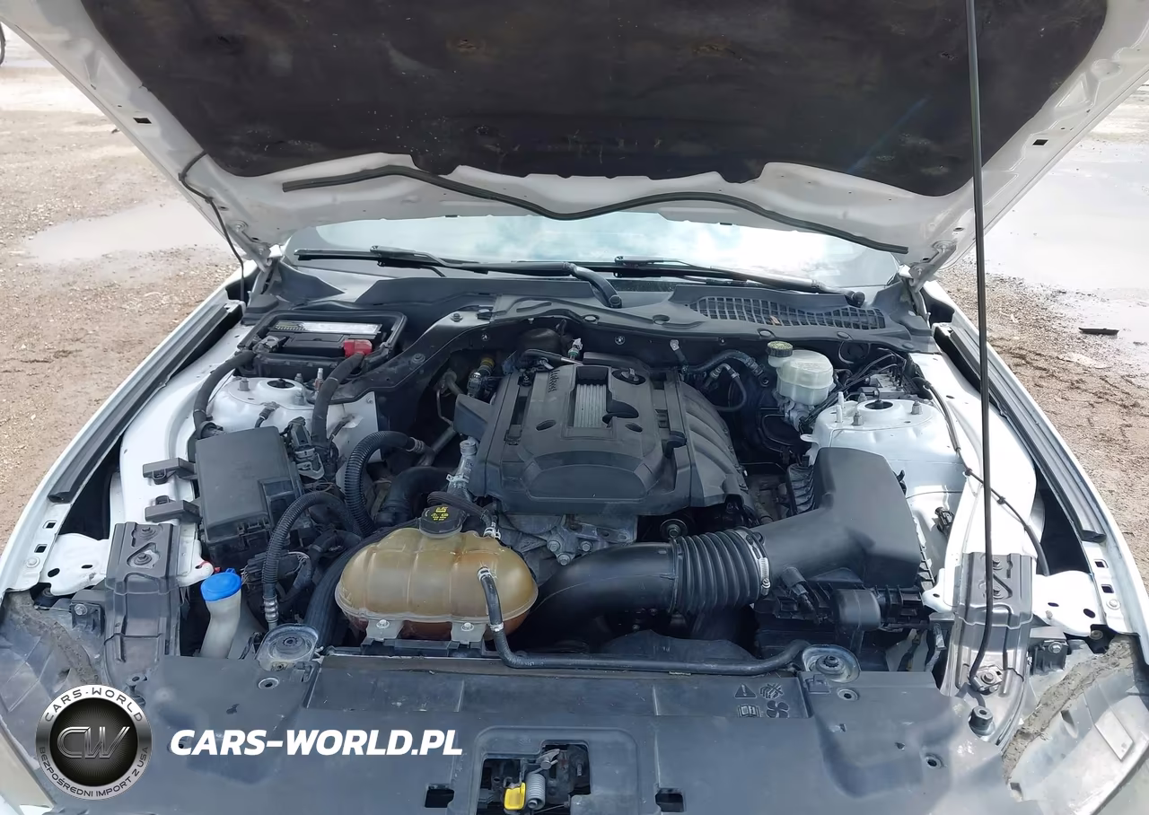 2020 Ford Mustang Ecoboost Premium Fastback VIN:1FA6P8TH2L5154633 - 10