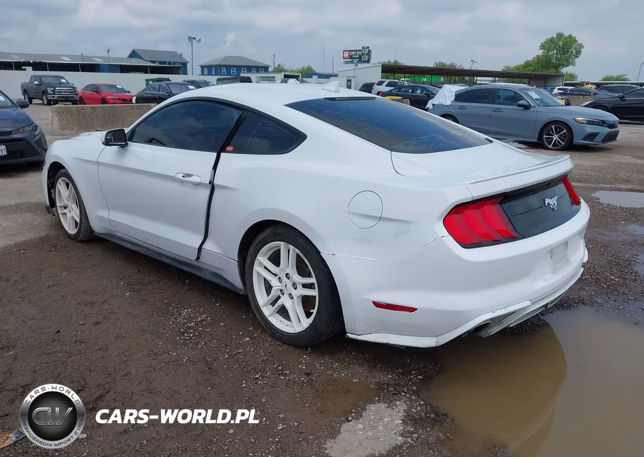 2020 Ford Mustang Ecoboost Premium Fastback VIN:1FA6P8TH2L5154633 - 3