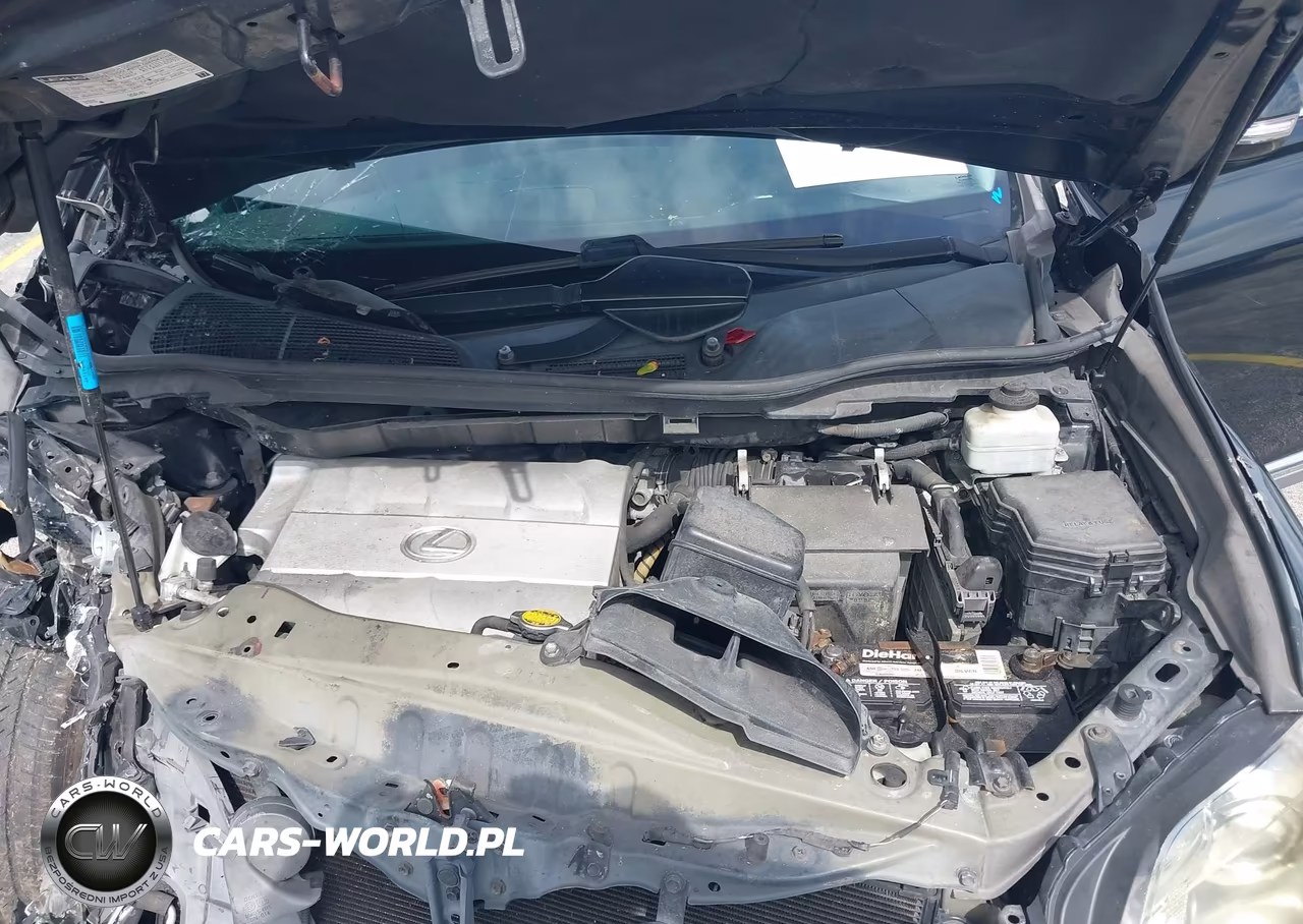 2010 Lexus Rx 350 VIN:2T2ZK1BA2AC007404 - 10
