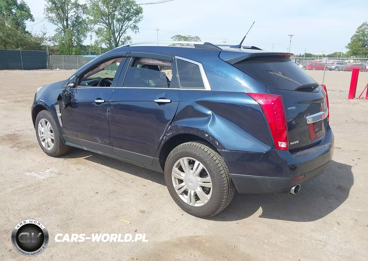 2010 Cadillac Srx Luxury Collection VIN:3GYFNAEY6AS604804 - 3
