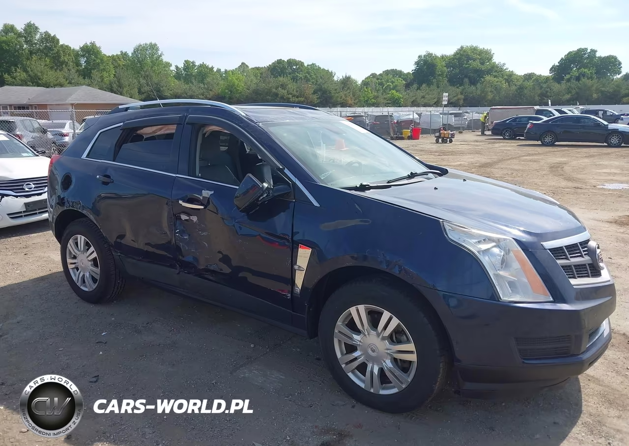 2010 Cadillac Srx Luxury Collection VIN:3GYFNAEY6AS604804 - 6