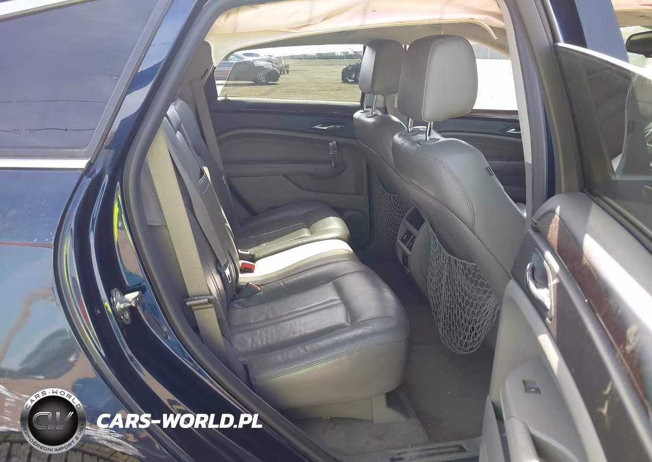 2010 Cadillac Srx Luxury Collection VIN:3GYFNAEY6AS604804 - 8